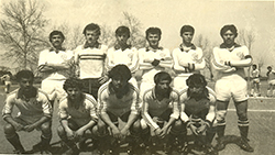 Dinamo Mesken